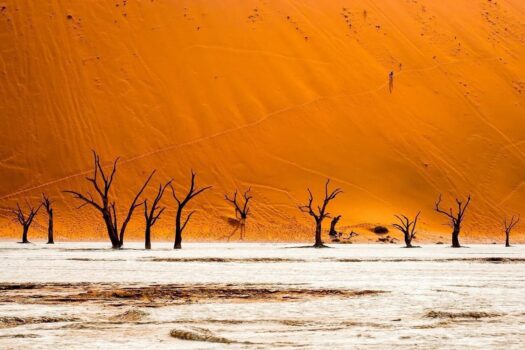 ny5kC703_K4